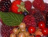 Berries